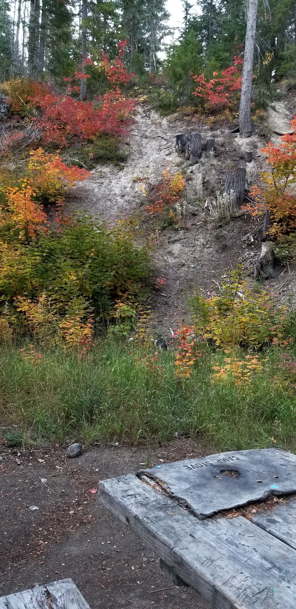 Meadow Creek Campground