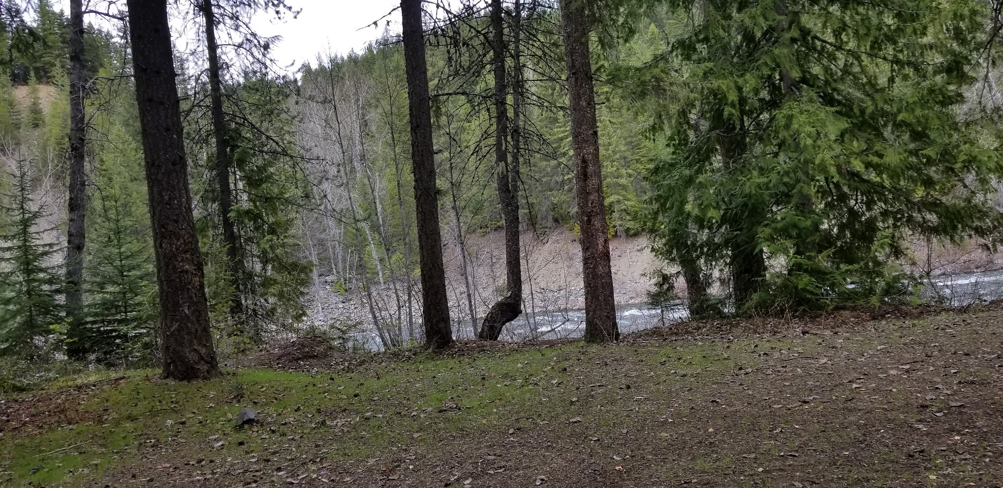 Meadow Creek Campground