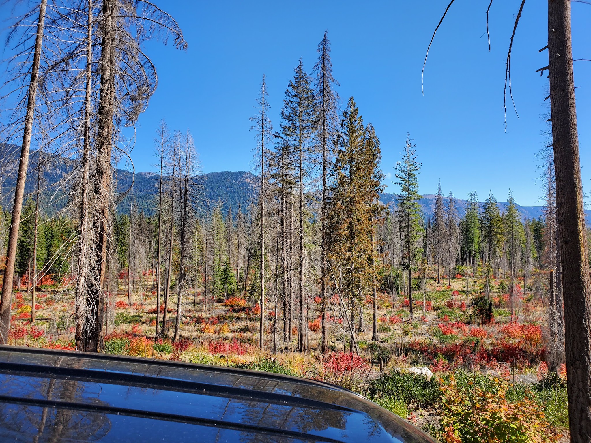 Meadow Creek Campground