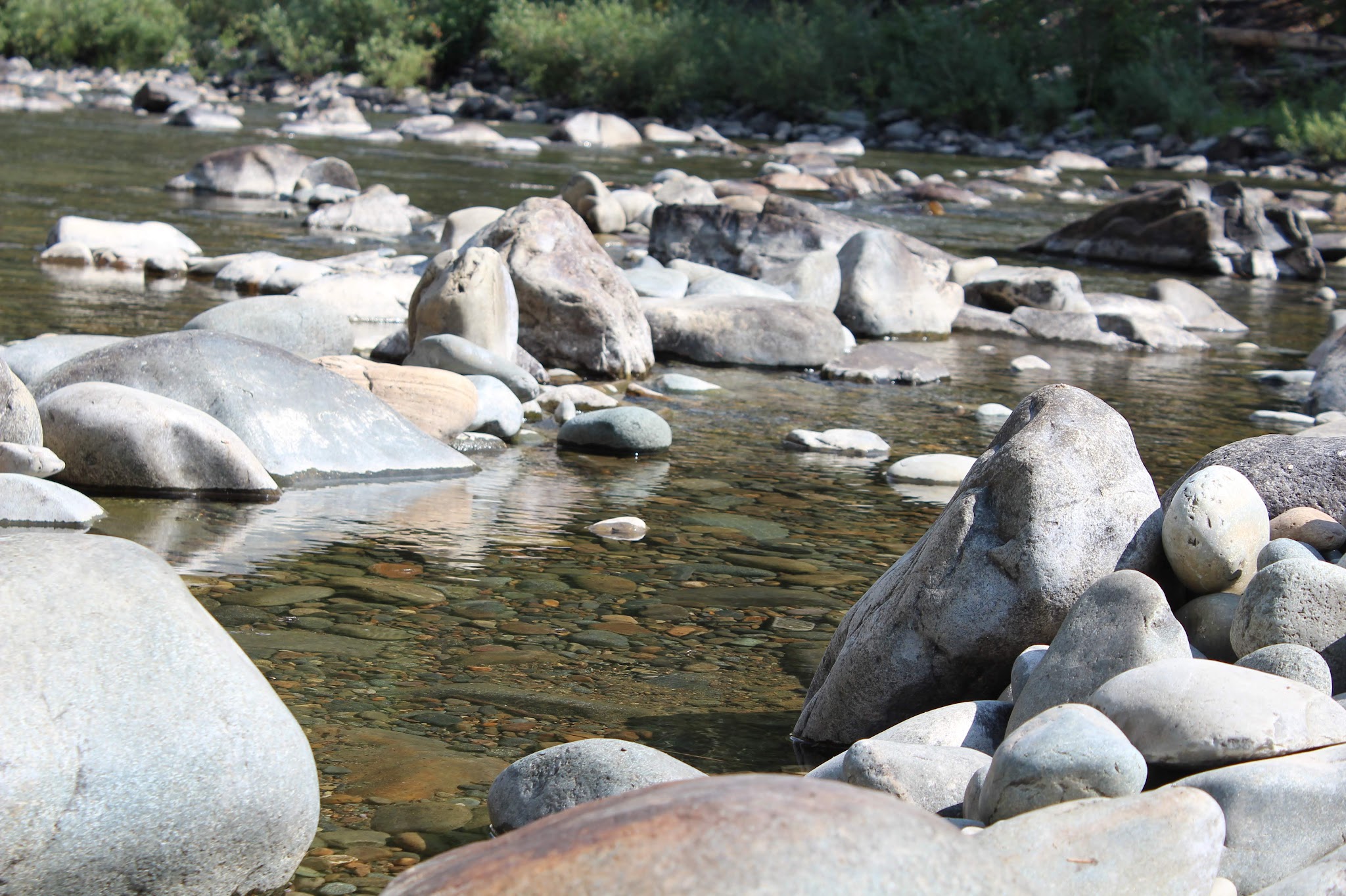 Meadow Creek Campground