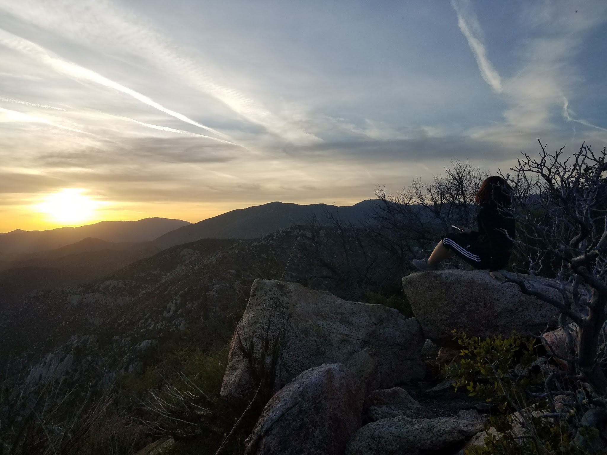 Meadow Group Campground