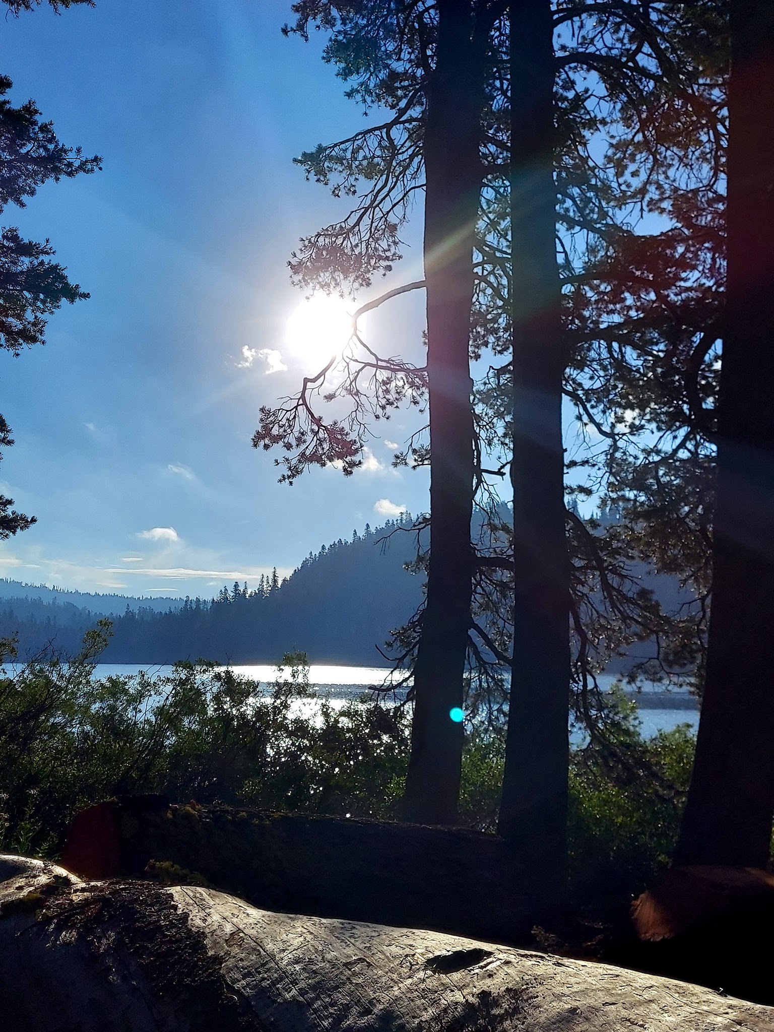 Meadow Lake Shoreline Campground