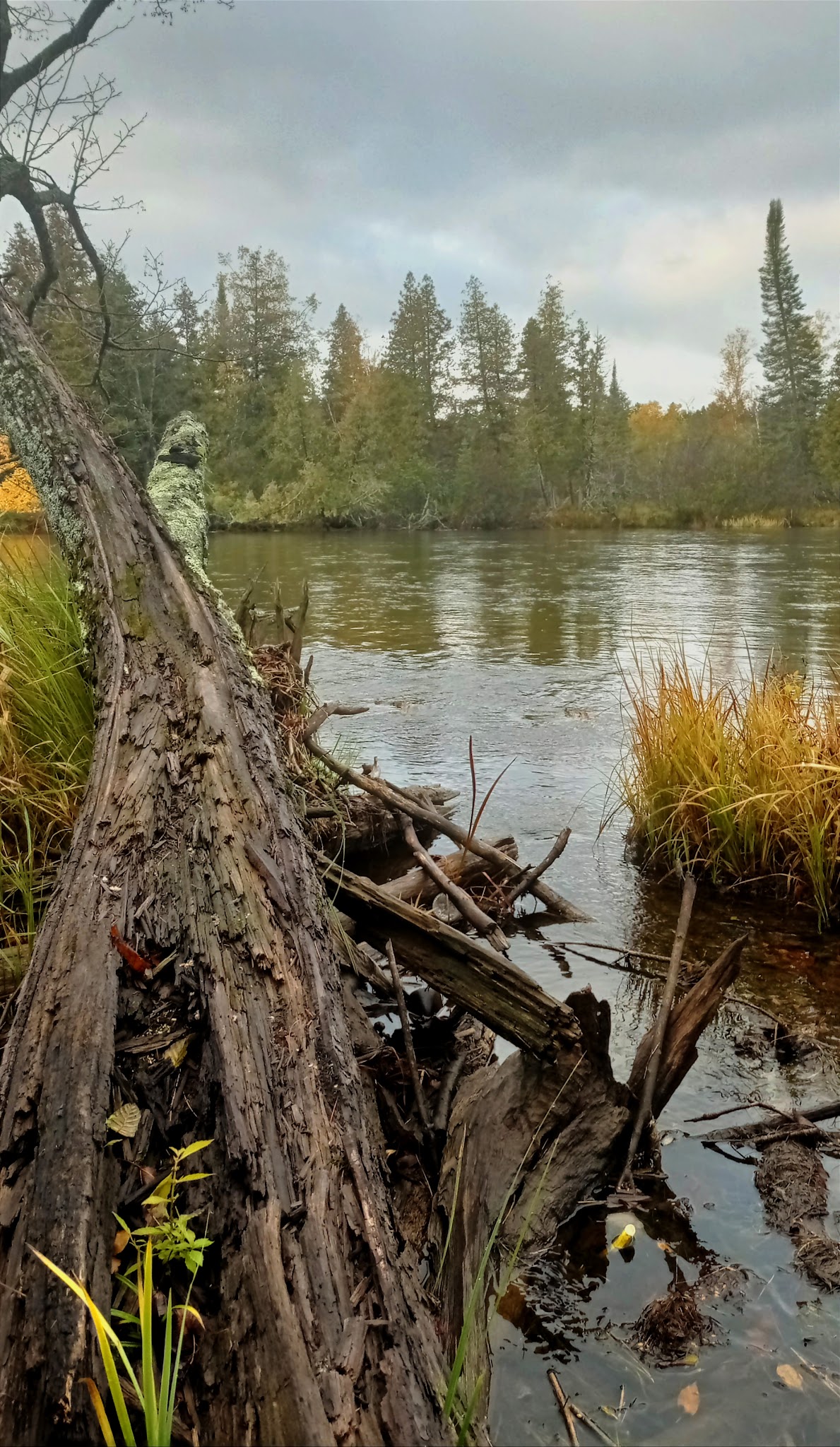 Meadow Springs Campground