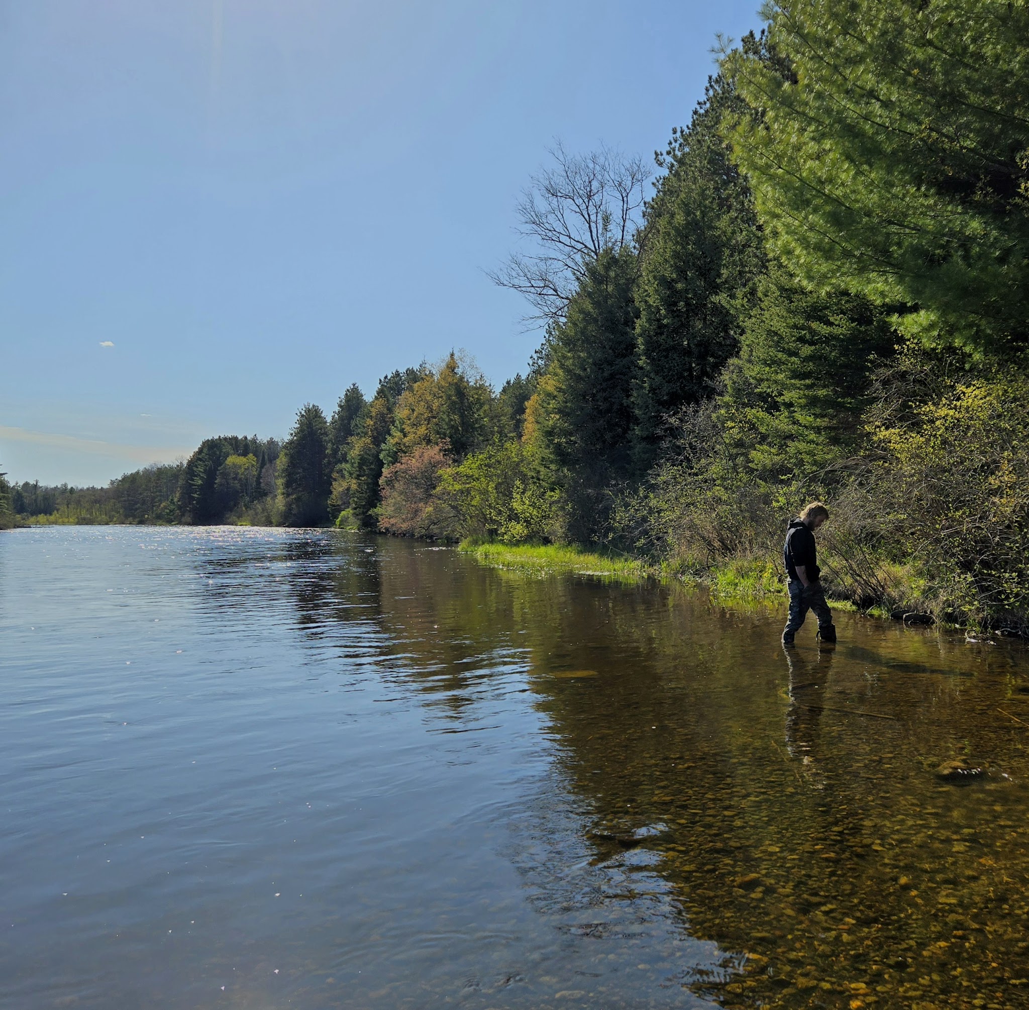 Meadow Springs Campground