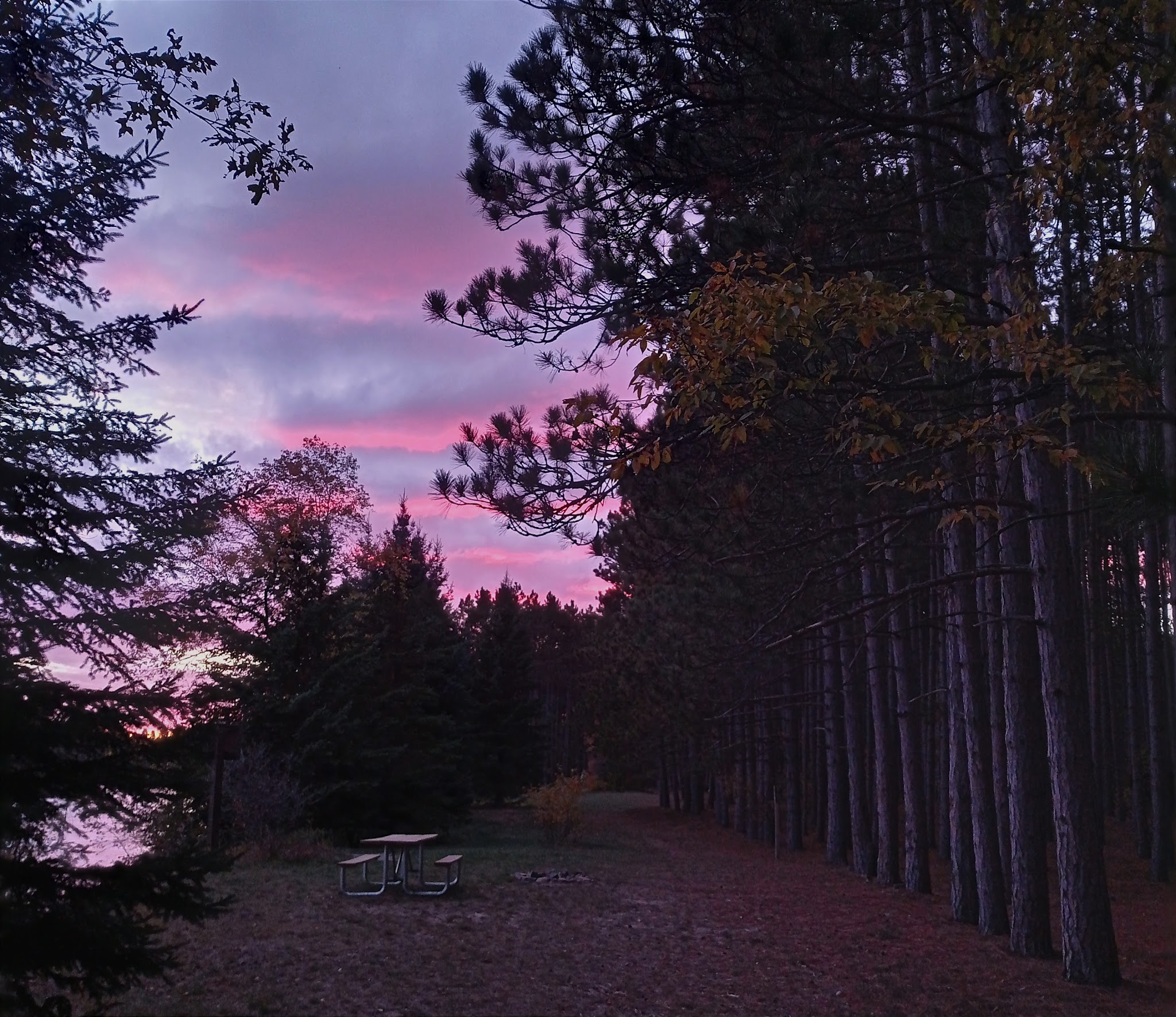 Meadow Springs Campground