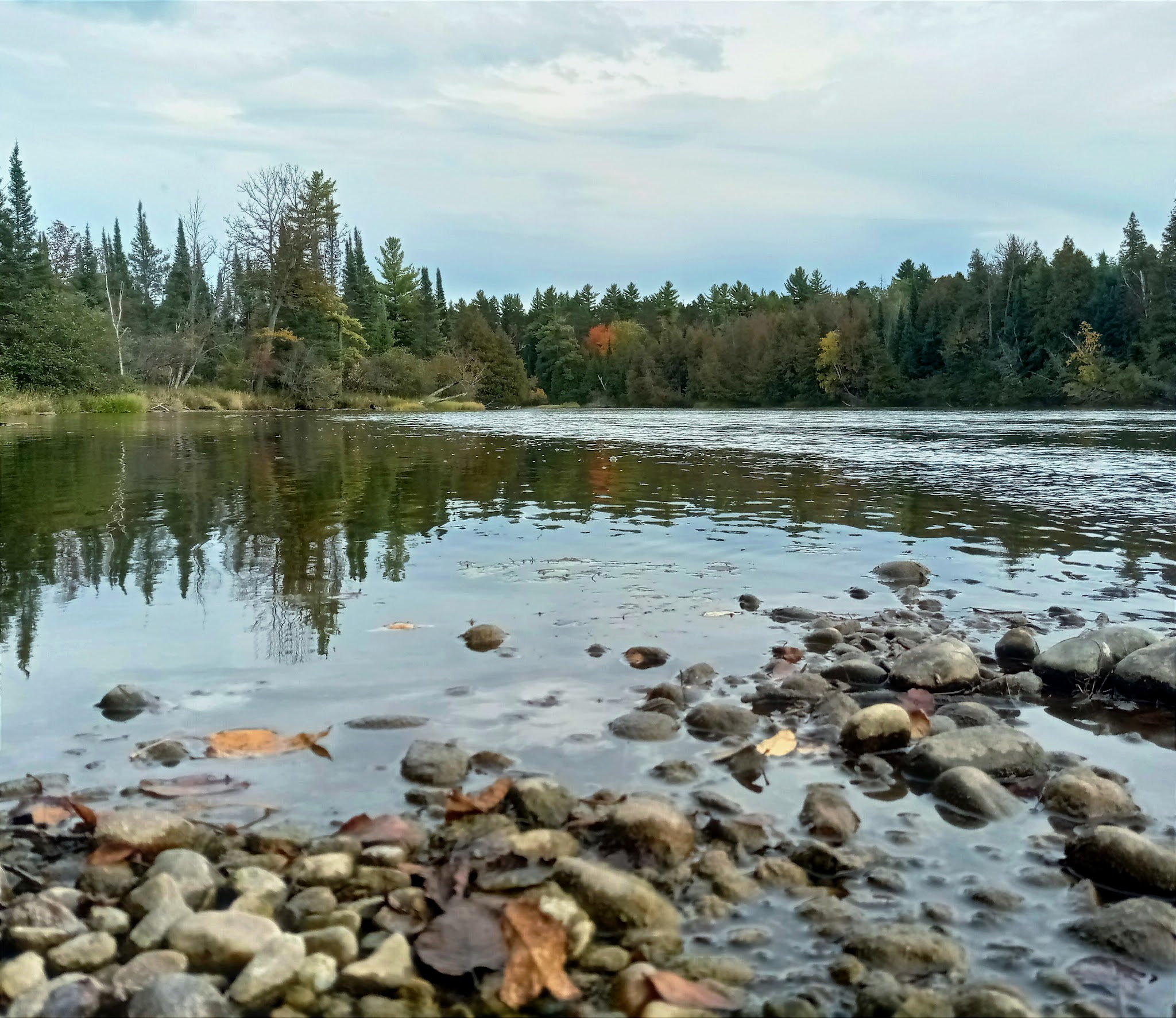 Meadow Springs Campground