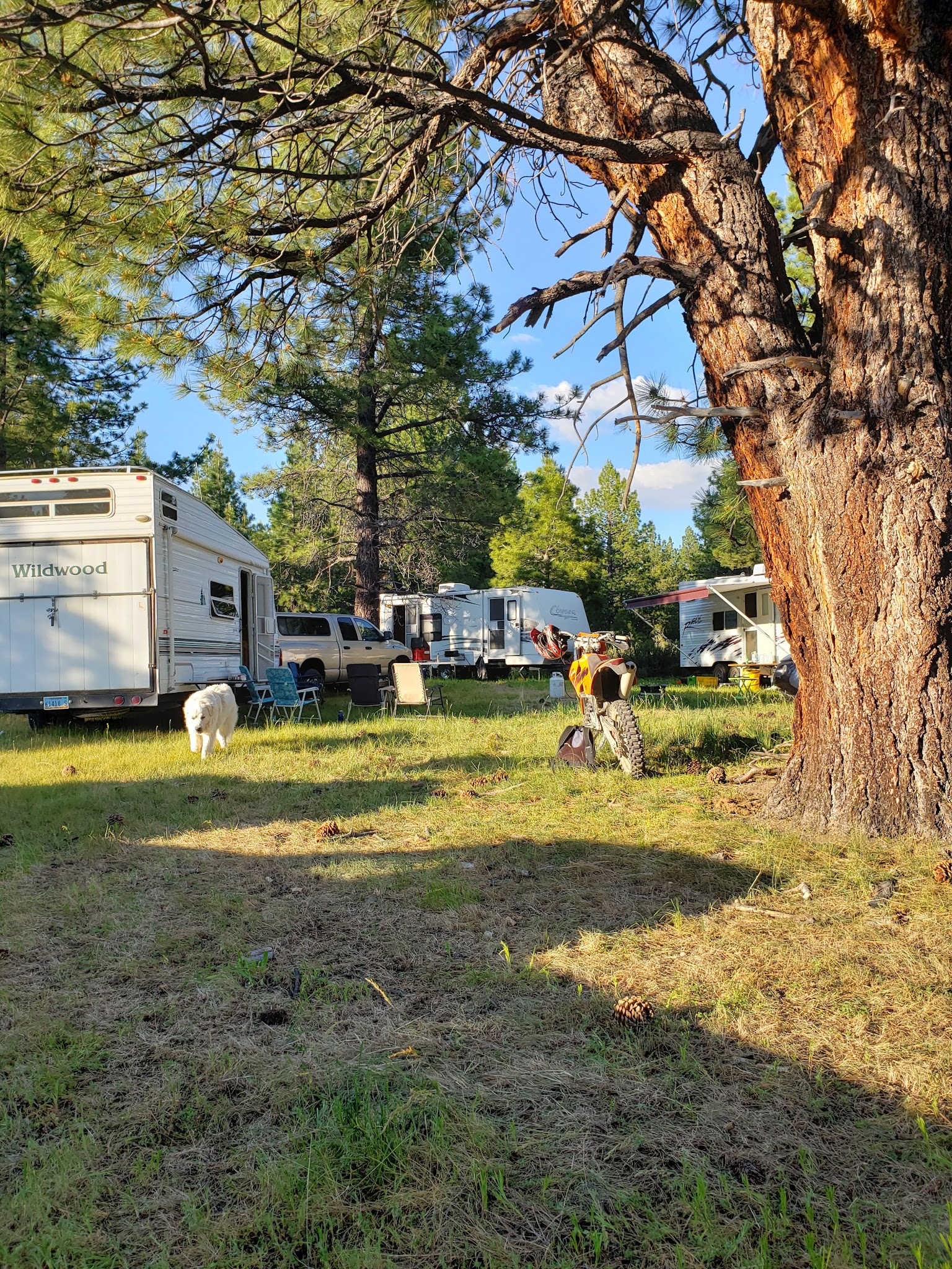 Meadow View Equestrian Campground