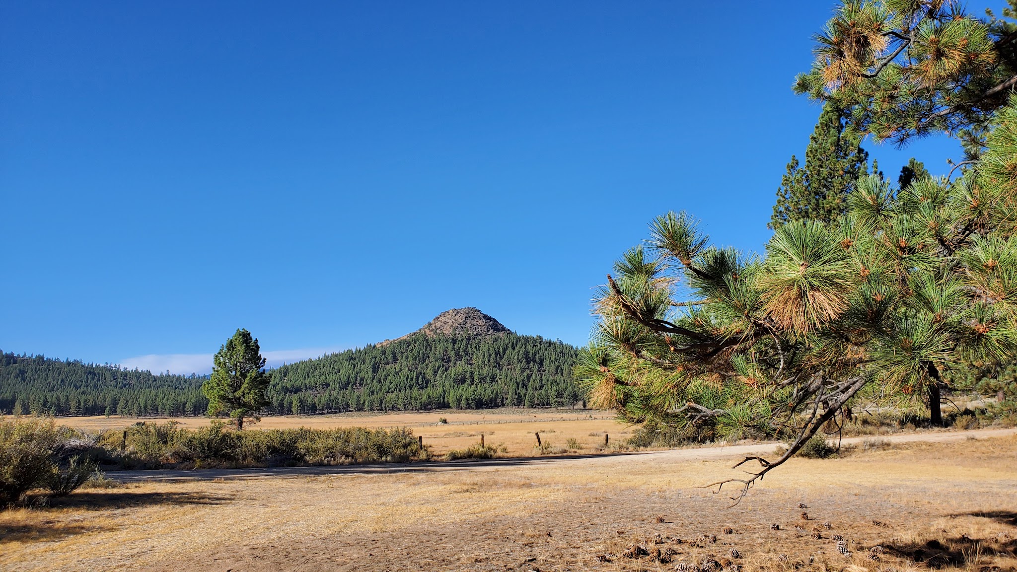 Meadow View Equestrian Campground