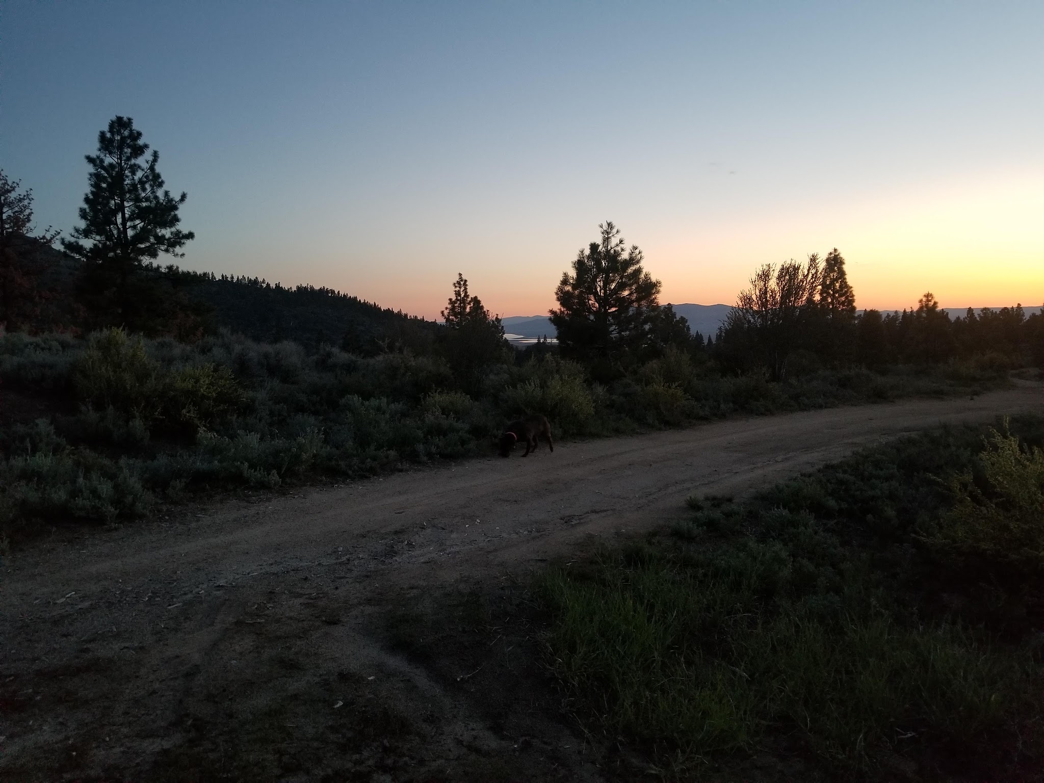 Meadow View Equestrian Campground