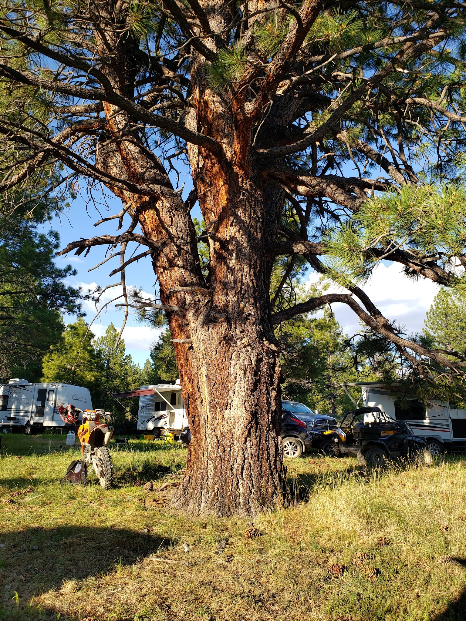 Meadow View Equestrian Campground