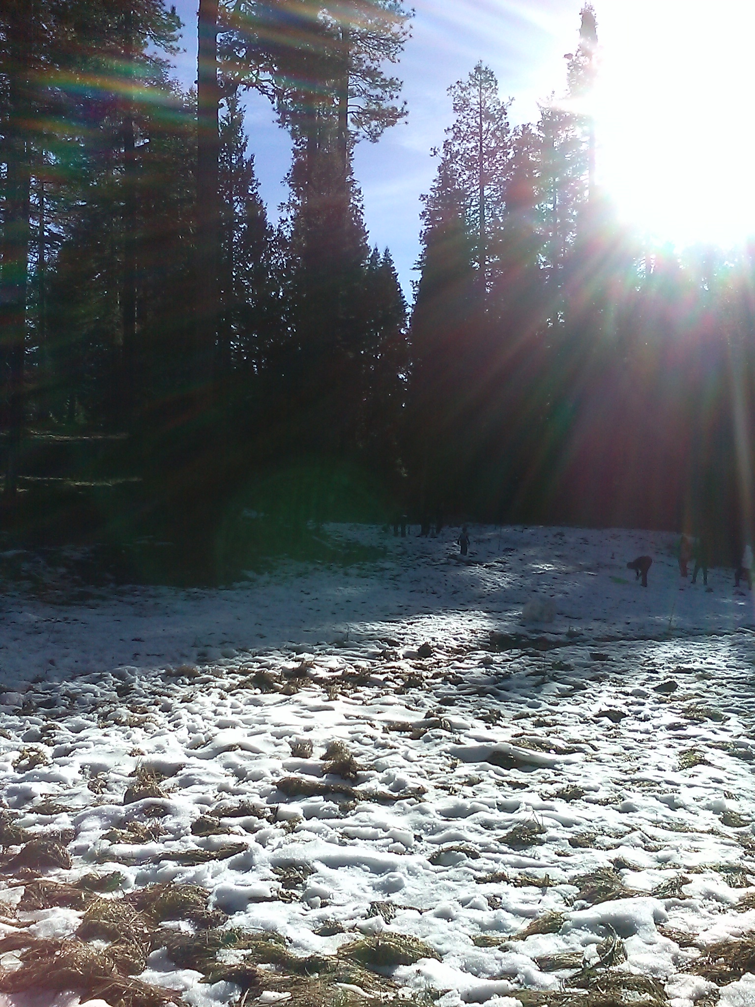 Meadowview Campground