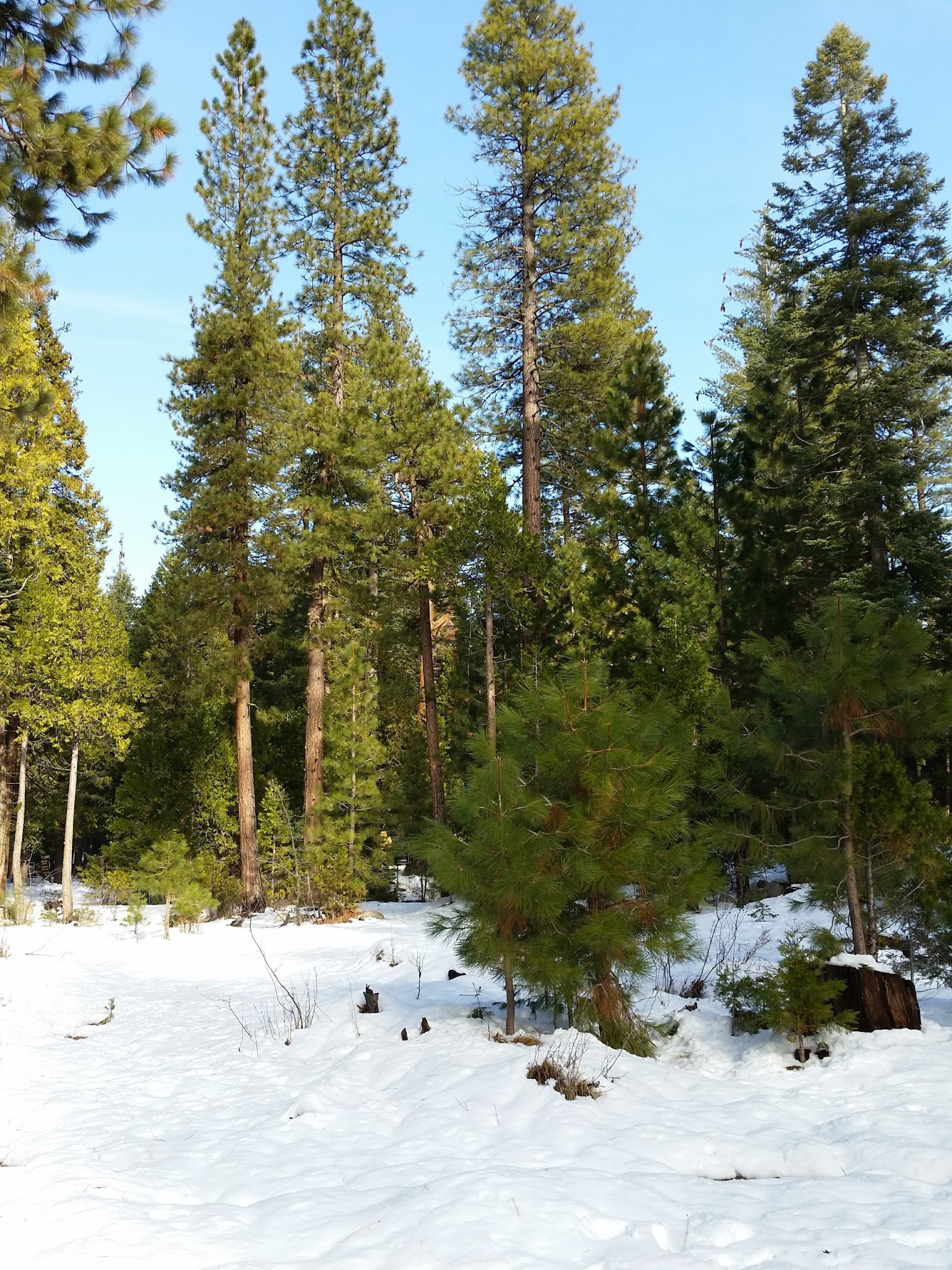 Meadowview Campground