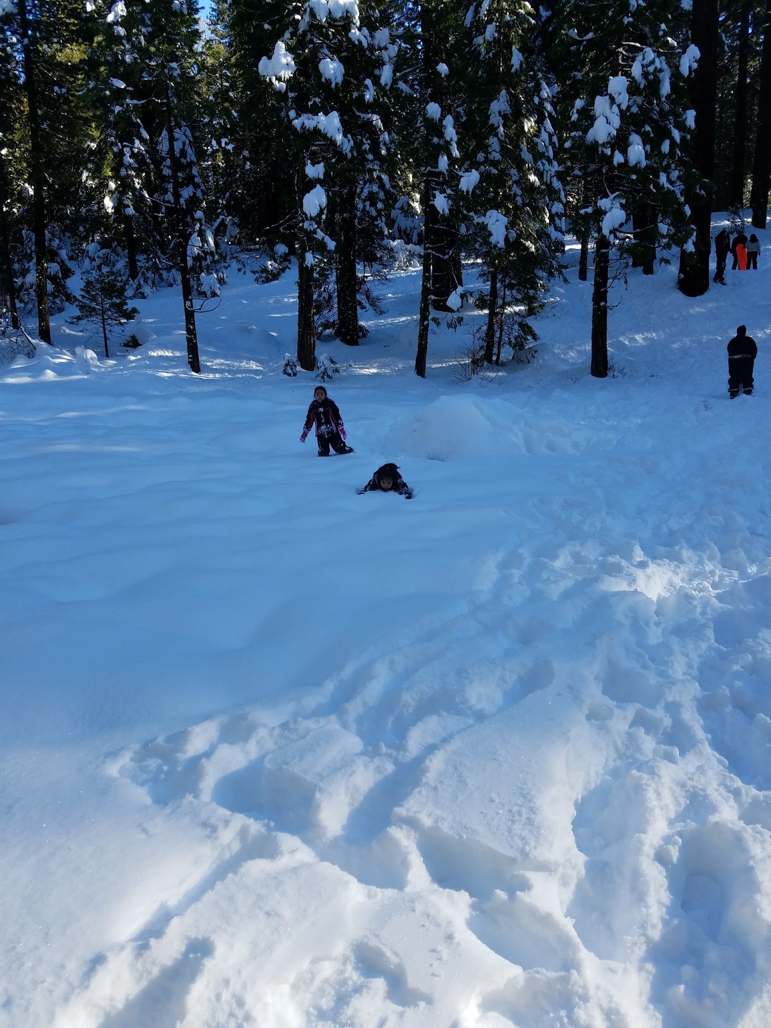 Meadowview Campground