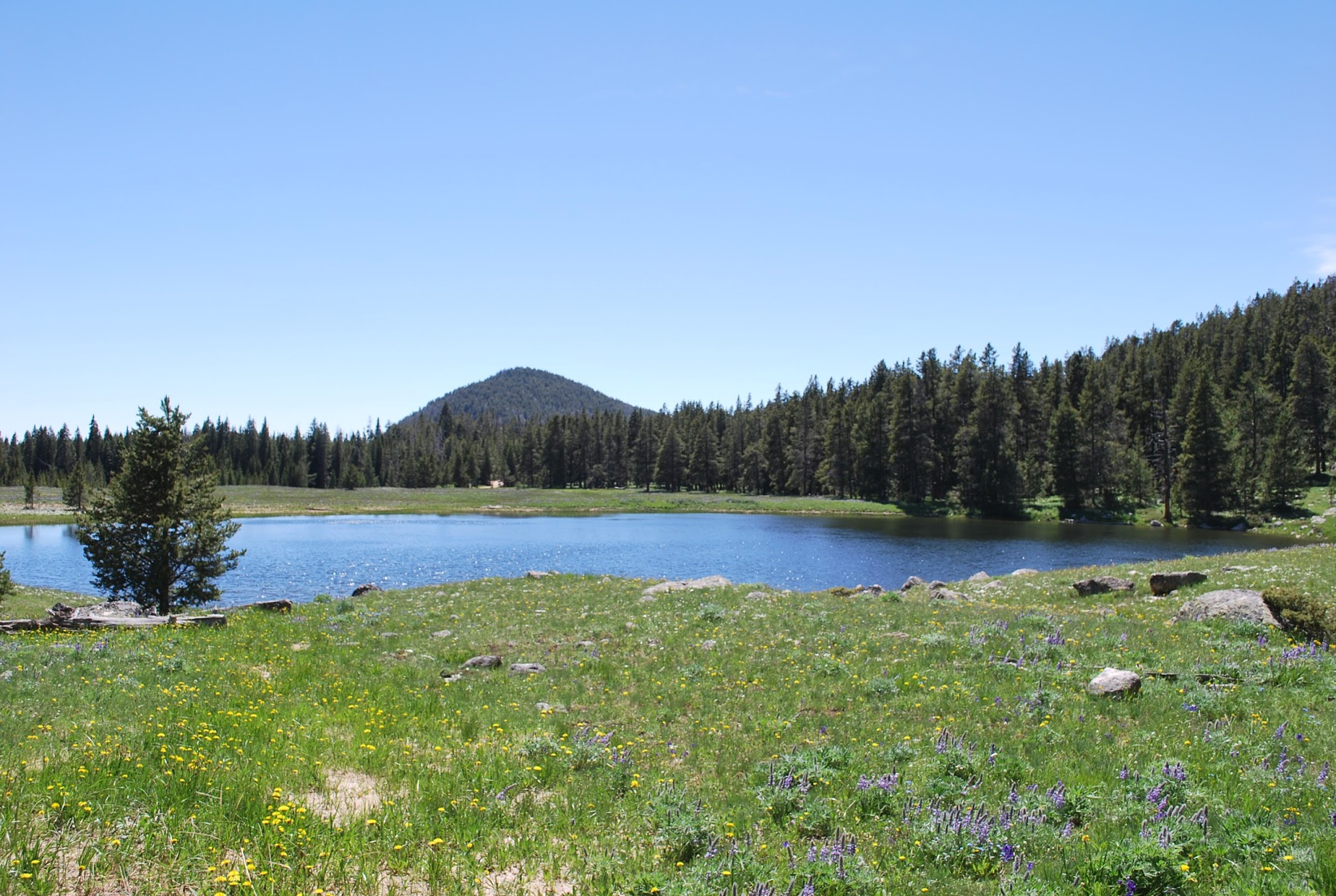 Medicine Lodge Lake Campground