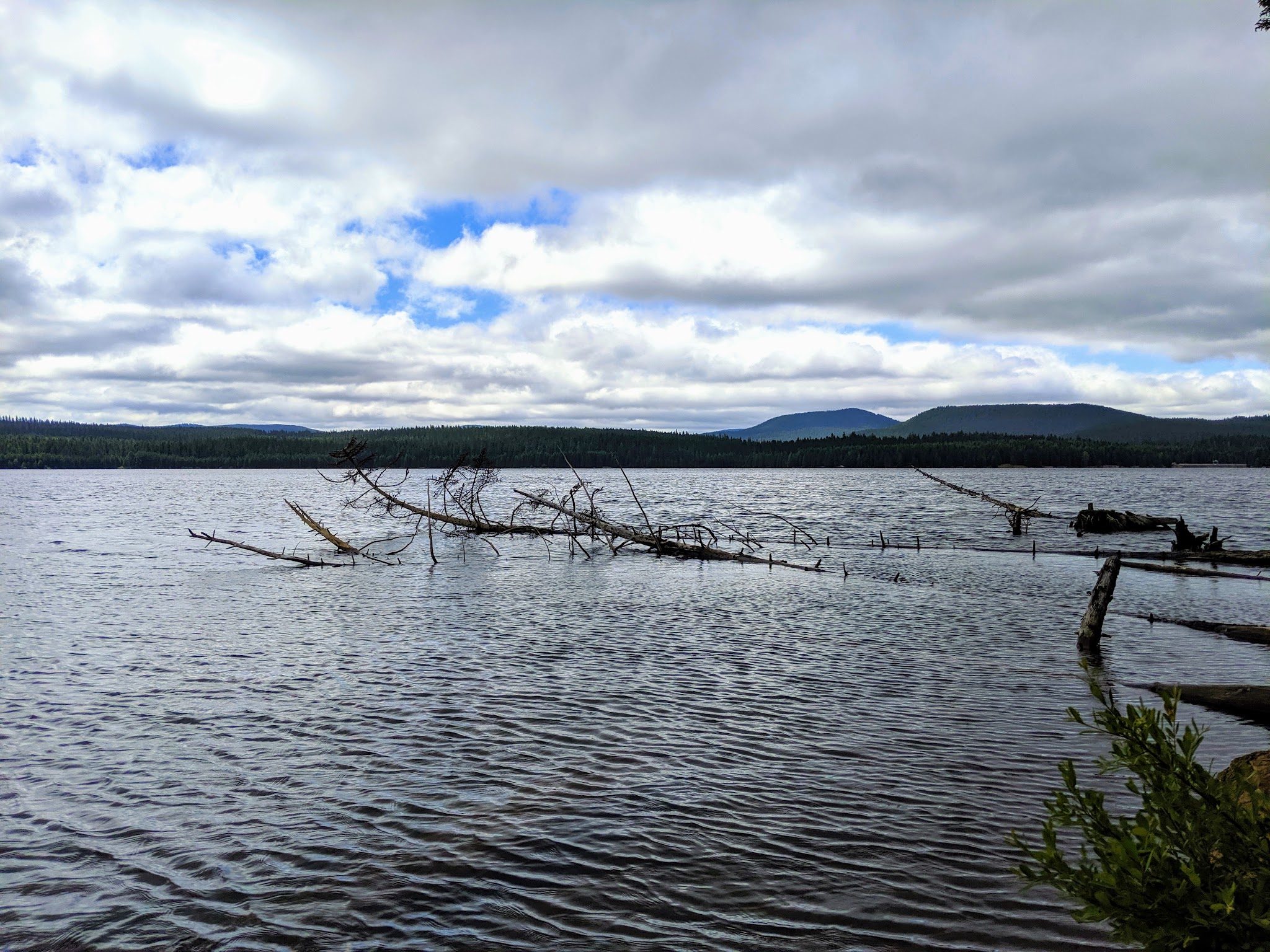 Timothy Lake - Meditation Point Campground