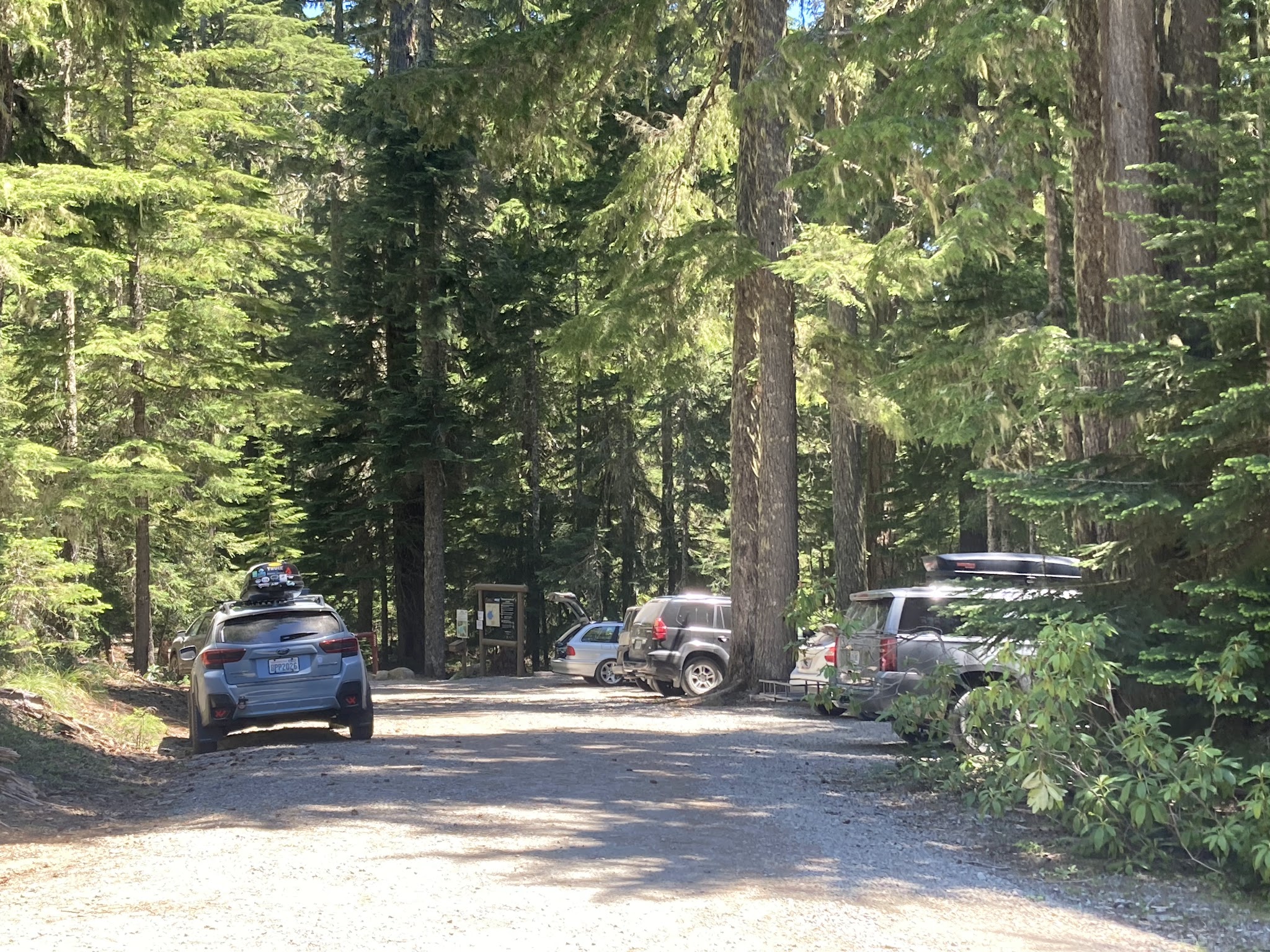 Timothy Lake - Meditation Point Campground