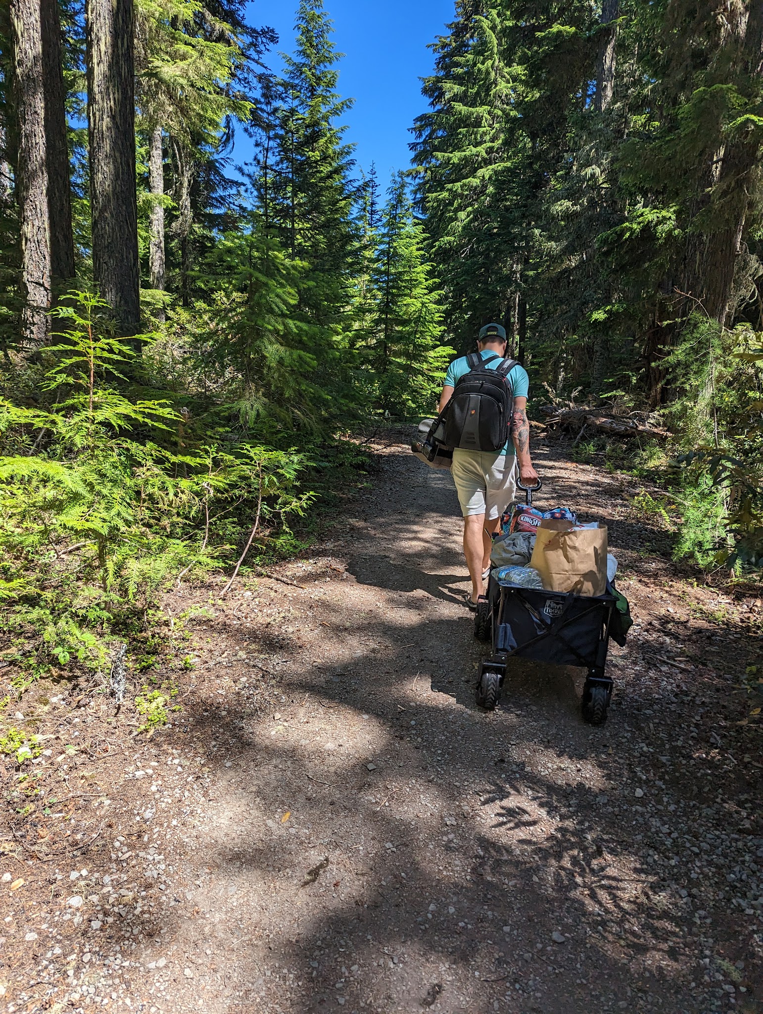 Timothy Lake - Meditation Point Campground