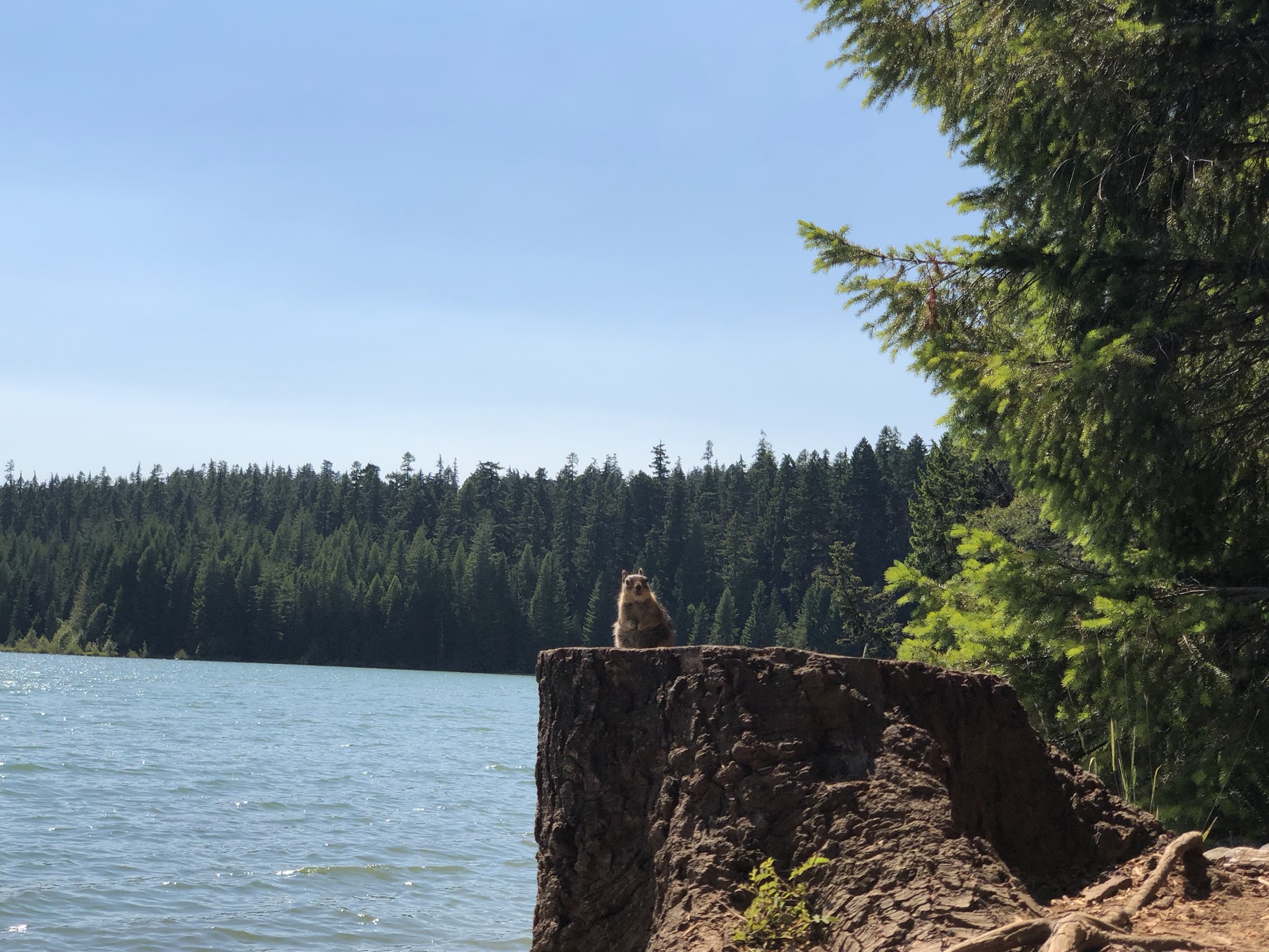 Timothy Lake - Meditation Point Campground