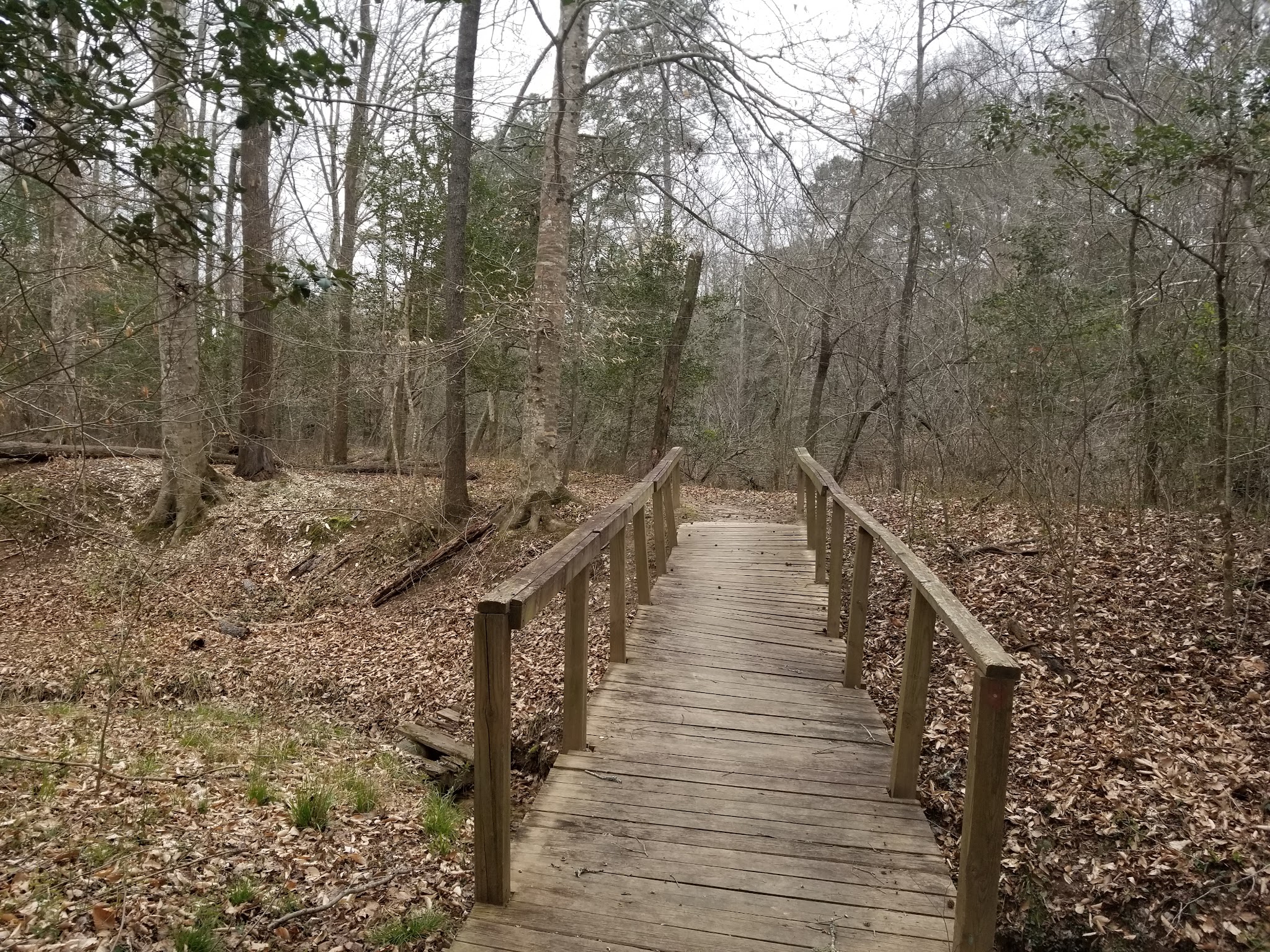 Medoc Mountain State Park
