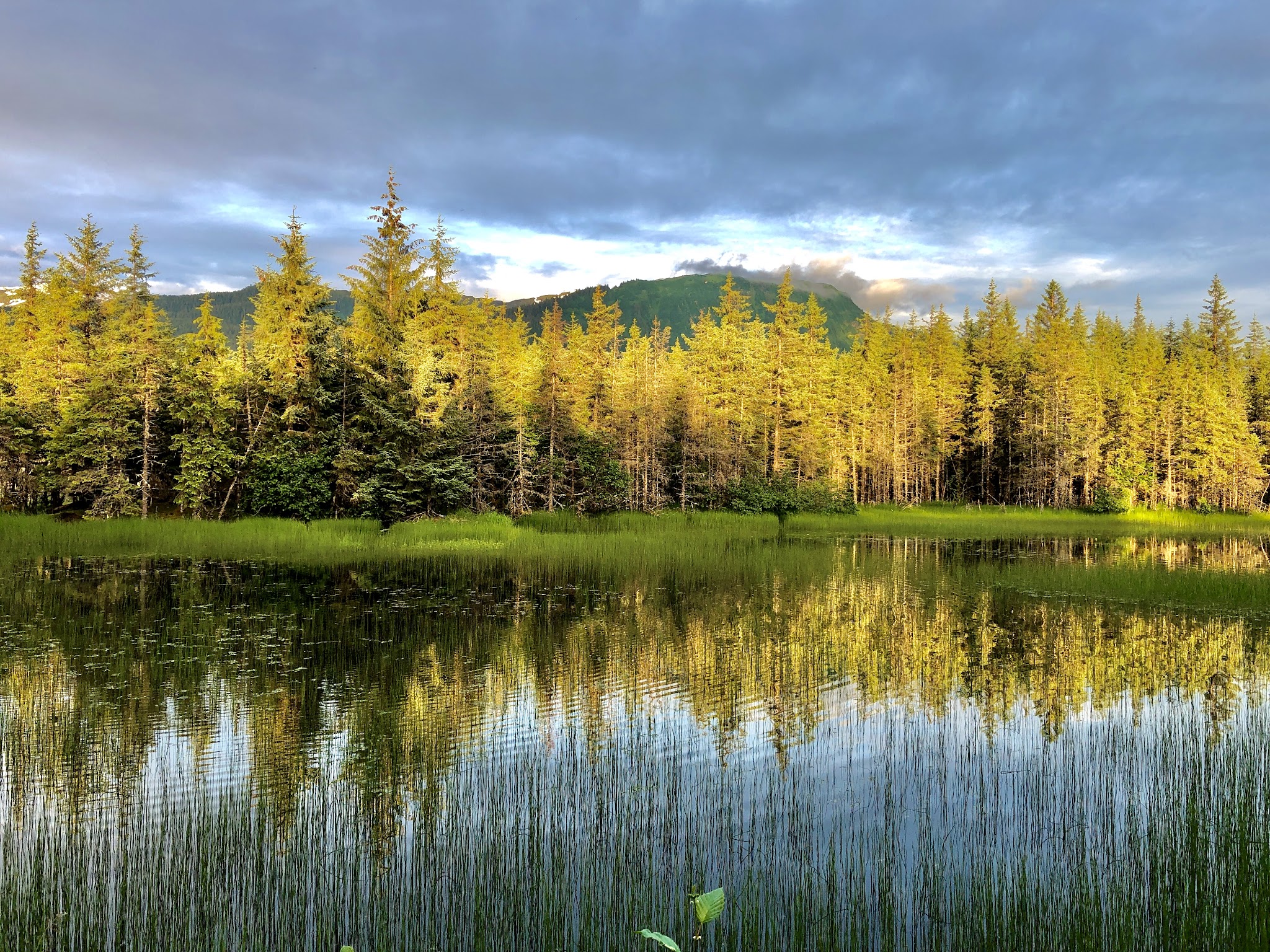 Mendenhall Campground