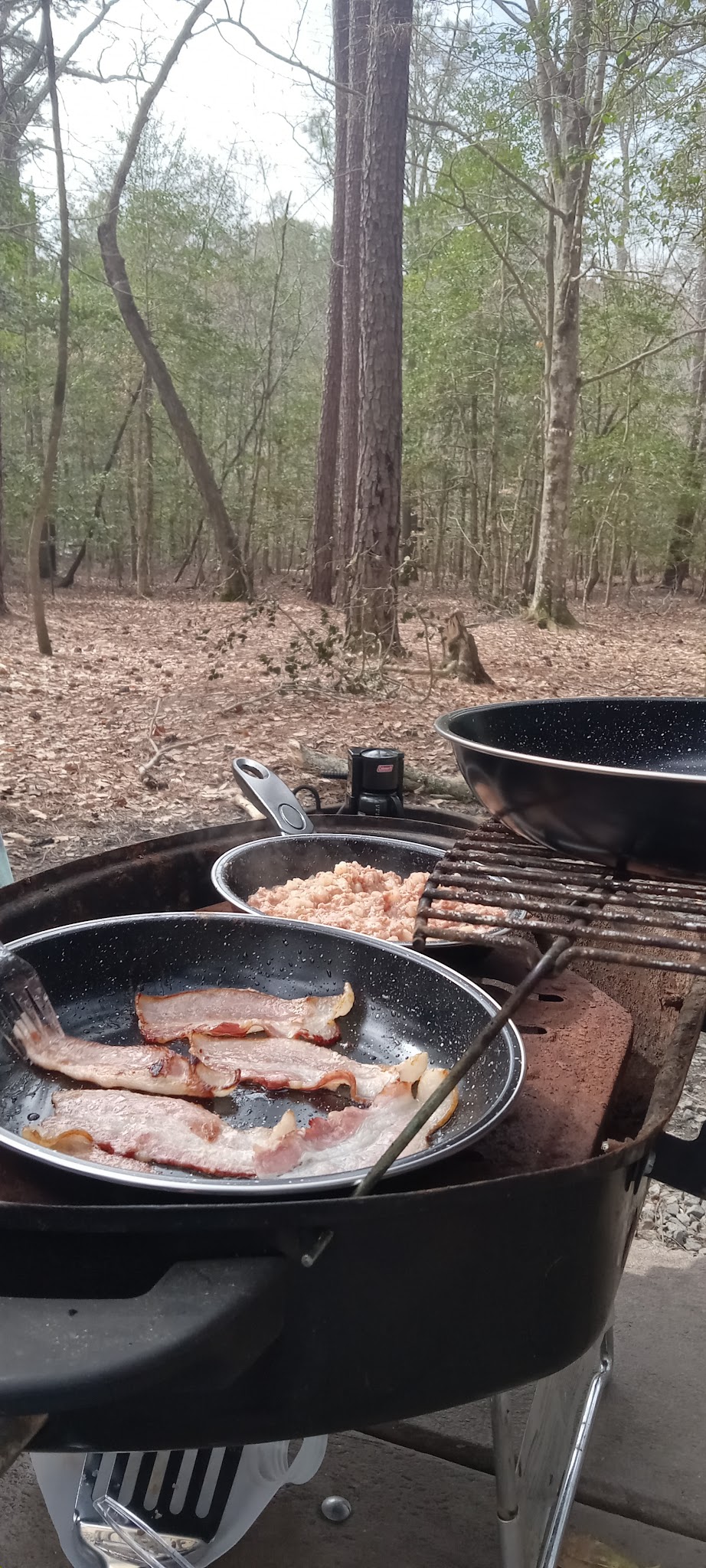 Merchants Millpond State Park
