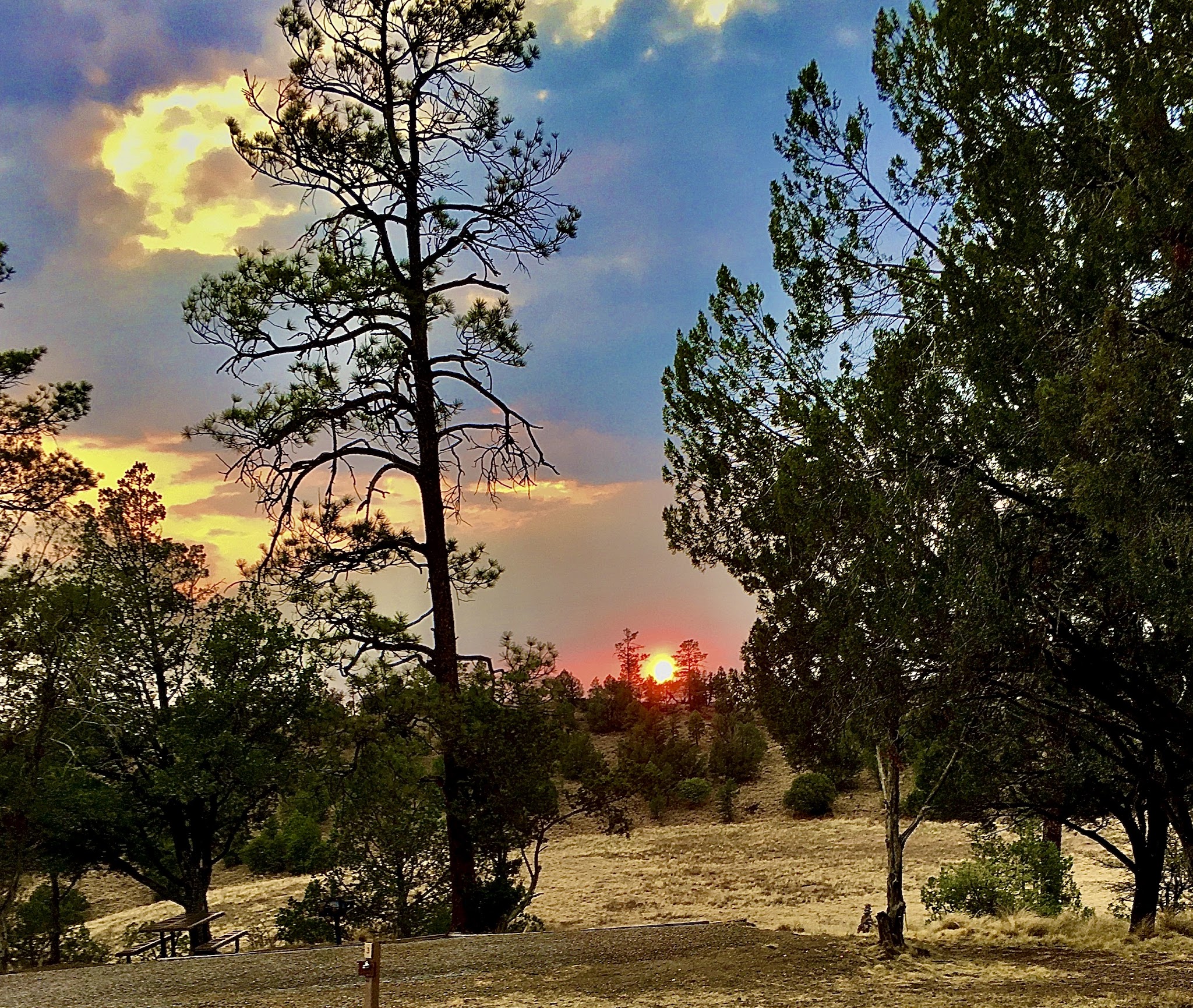 Mesa Campground