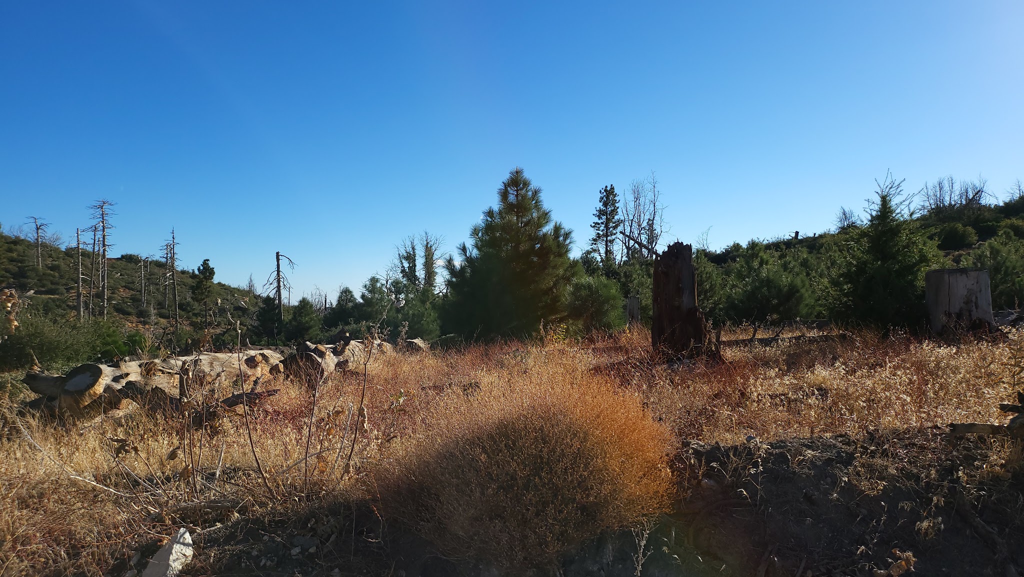 Messenger Flats Campground