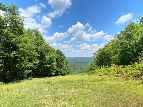 Michaux State Forest