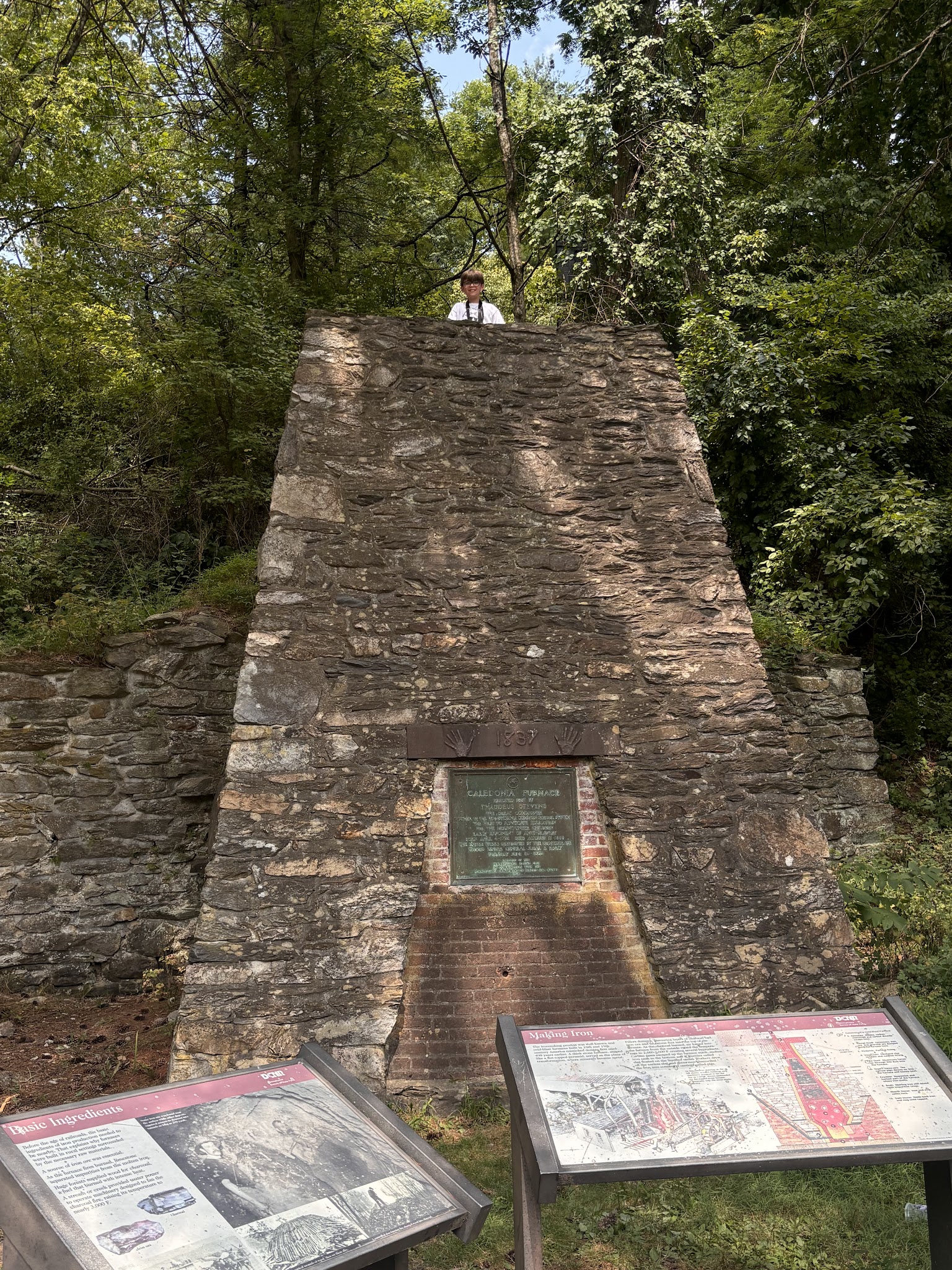 Michaux State Forest