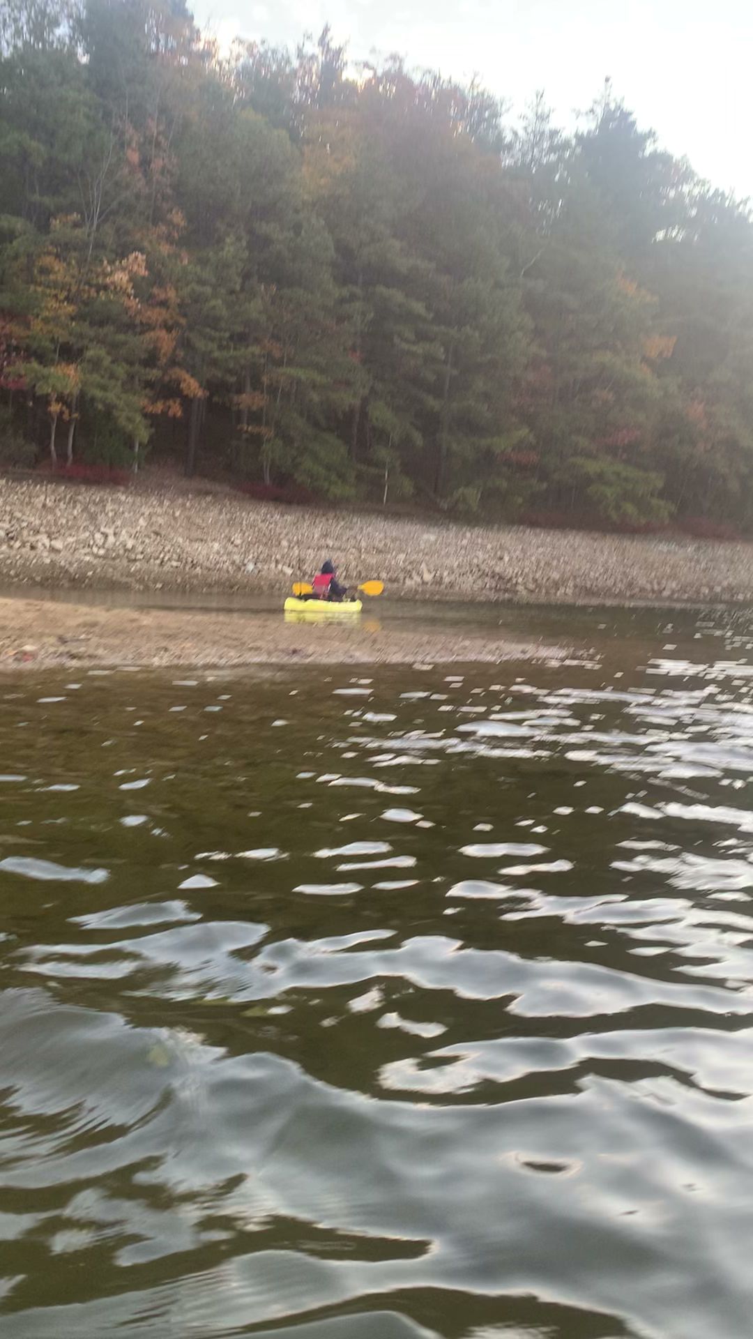 Michaux State Forest