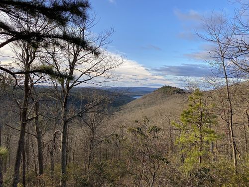 Michaux State Forest