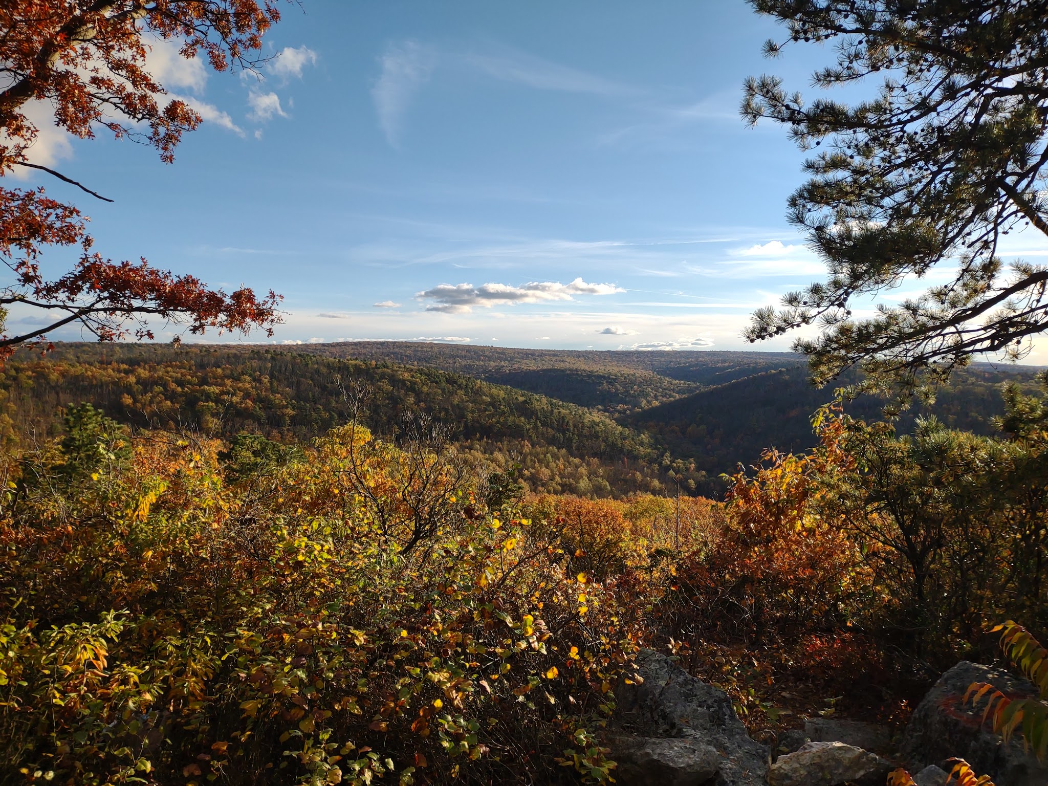 Michaux State Forest