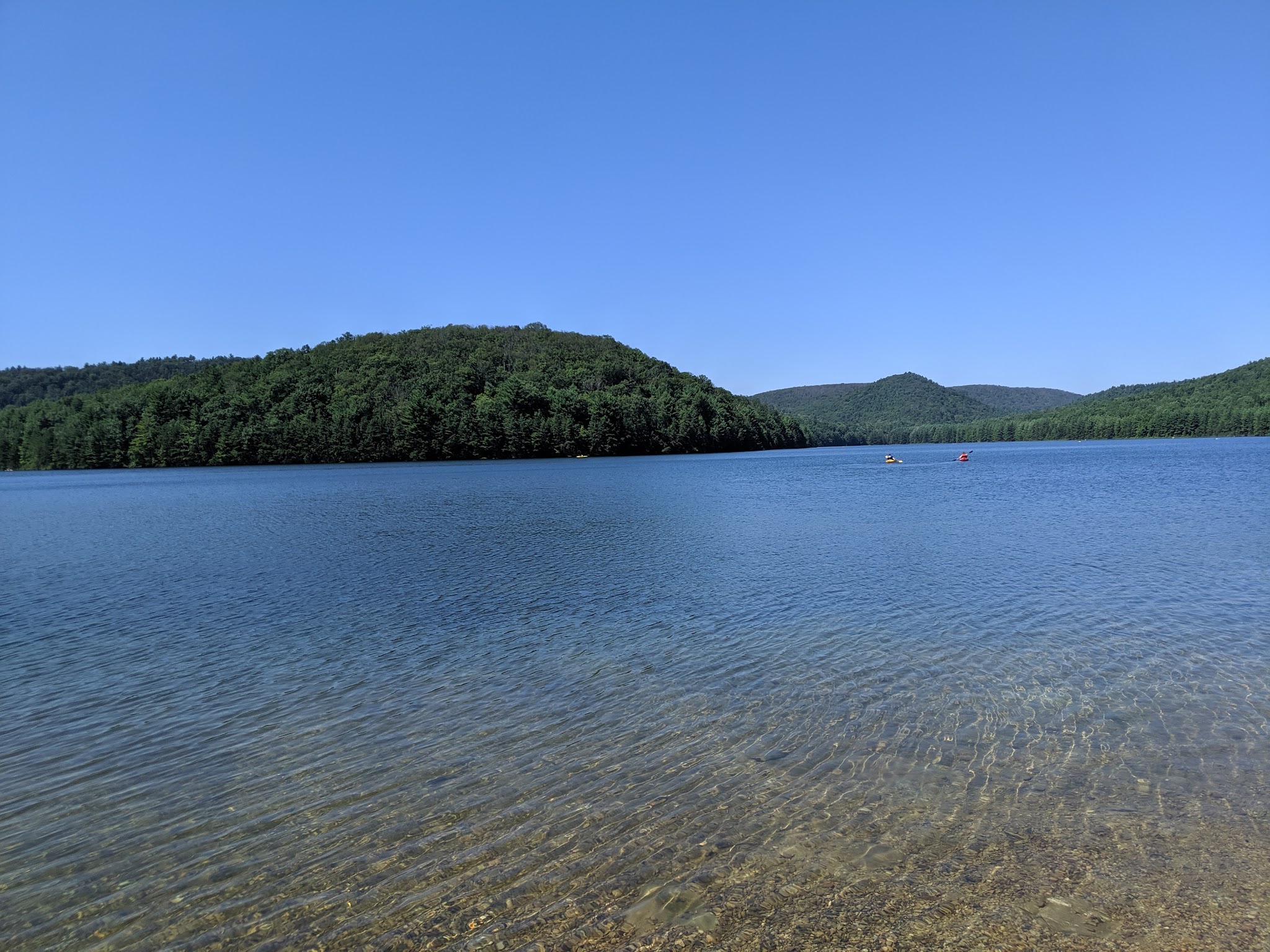 Michaux State Forest
