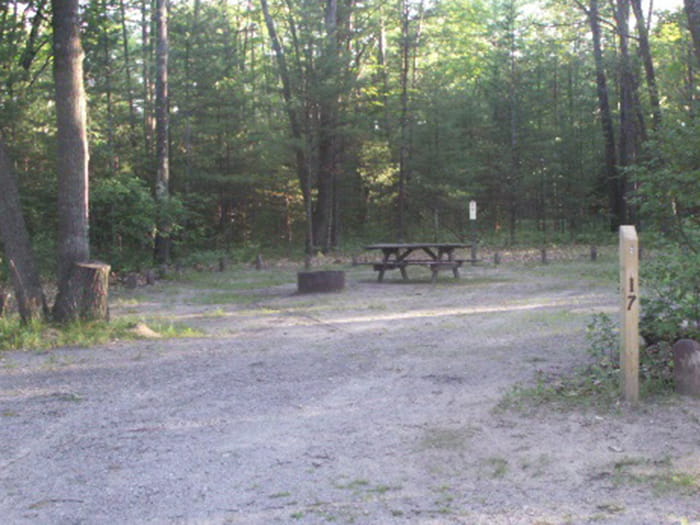 Michigan DNR