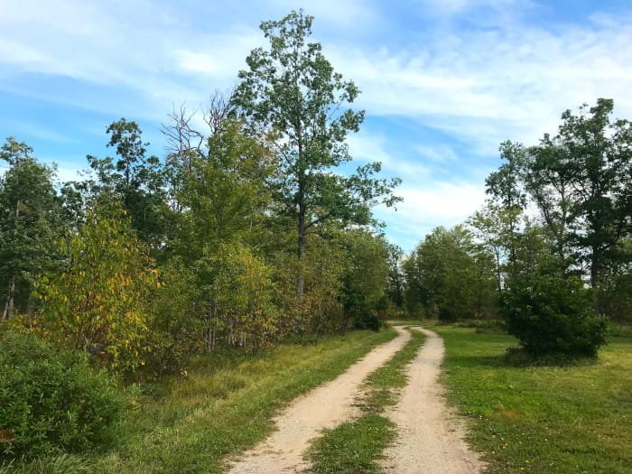 Michigan DNR