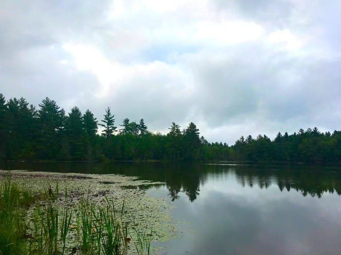 Michigan DNR