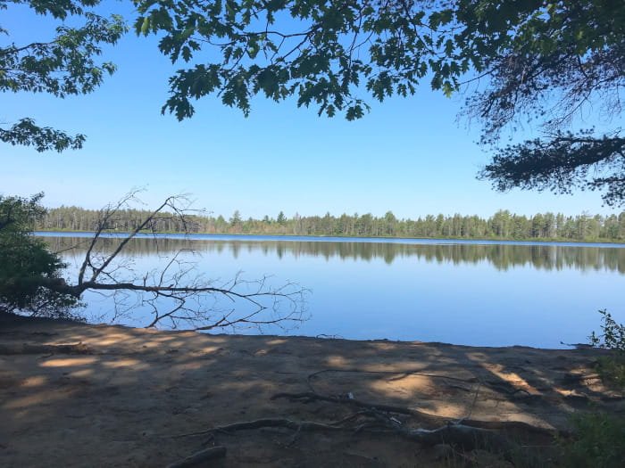 Michigan DNR