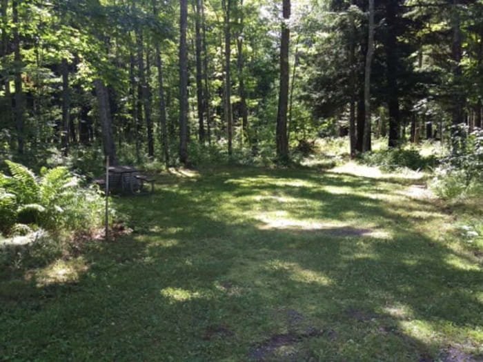 Big Eric's Bridge State Forest Campground