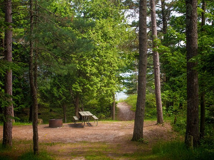Big Knob State Forest Campground