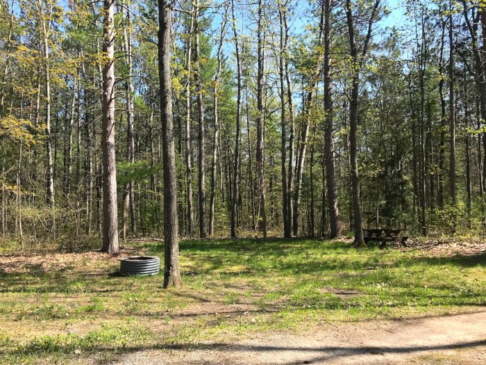 Black Lake Trail Camp