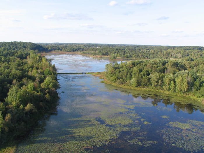Michigan DNR