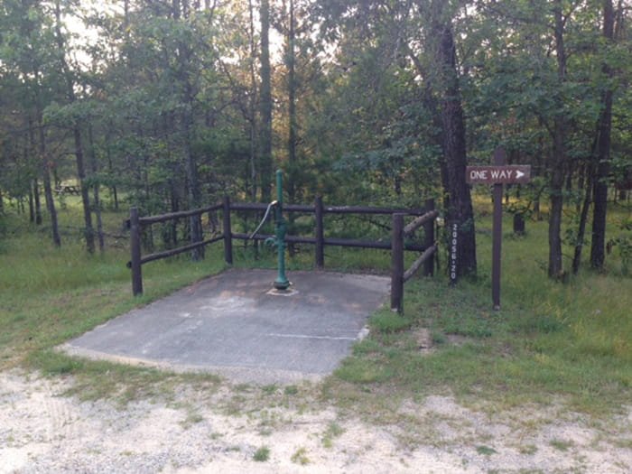 Canoe Harbor State Forest Campground And Canoe Camp
