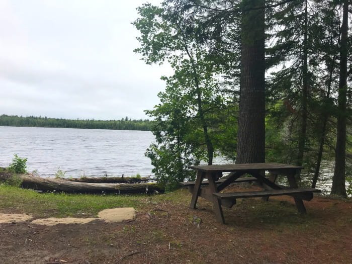 Michigan DNR