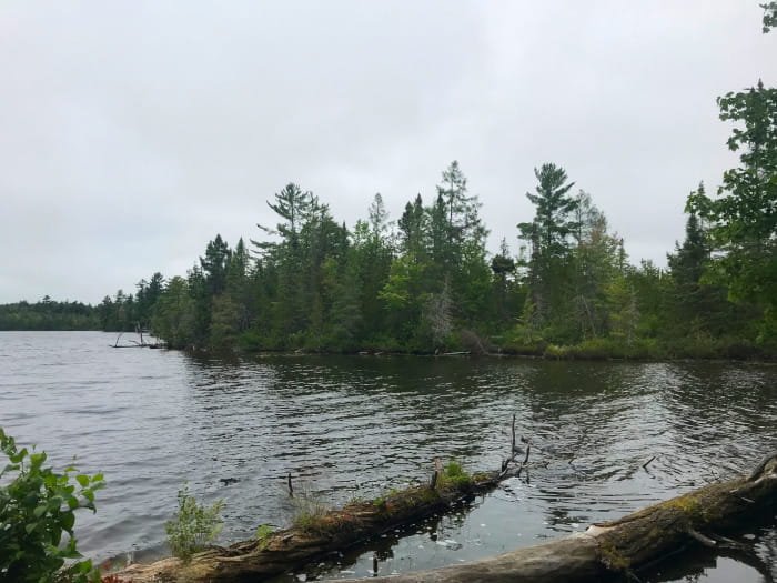 Michigan DNR