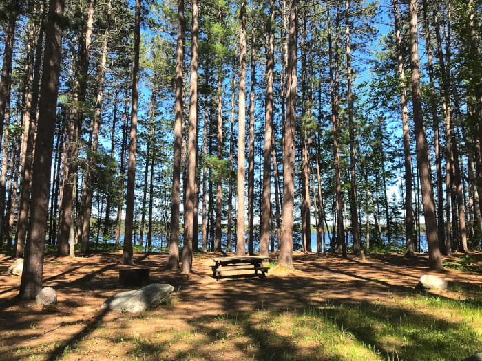 Culhane Lake State Forest Campground