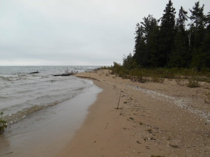 Michigan DNR