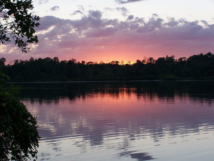 Michigan DNR