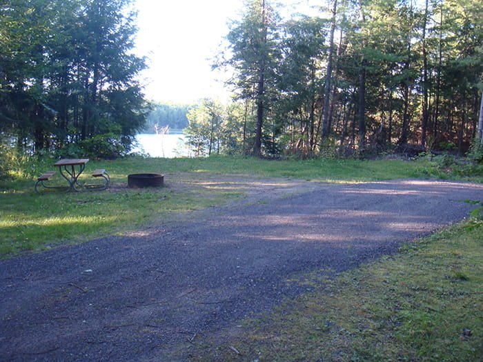 Michigan DNR