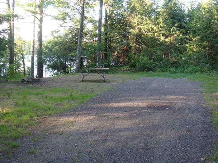 Emily Lake State Forest Campground