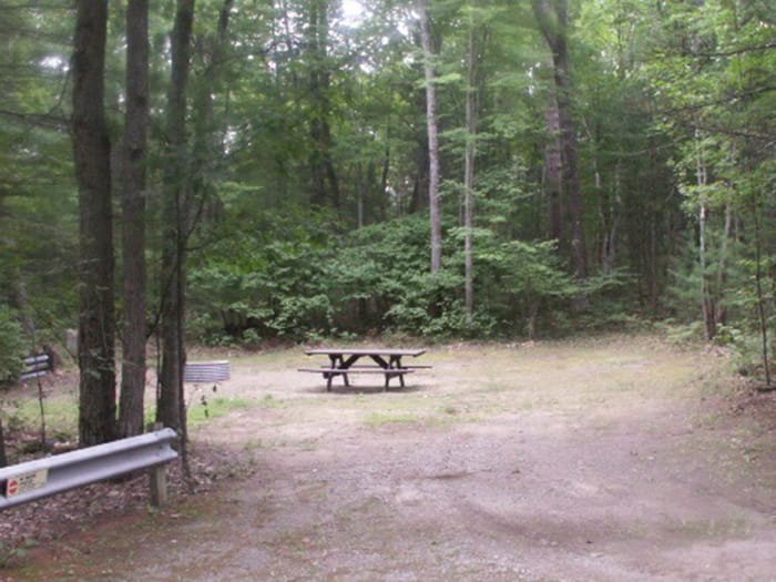 Michigan DNR